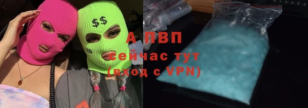 трава Балахна
