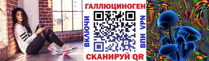 наркота  Похвистнево  Псилоцибиновые грибы мухоморы 